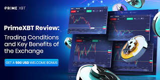 Live Trading on PrimeXBT A Comprehensive Guide for Traders Live Trading on PrimeXBT A Comprehensive Guide for Traders